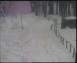 Nástup na běžecké tratě