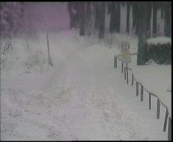 Nástup na běžecké tratě