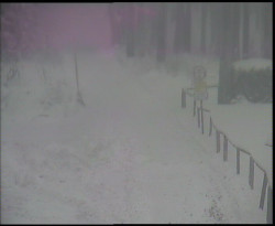 Nástup na běžecké tratě