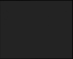 Nástup na běžecké tratě