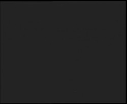 Nástup na běžecké tratě