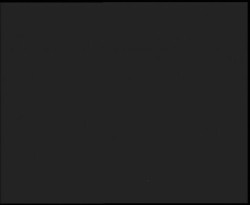 Nástup na běžecké tratě