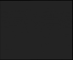 Nástup na běžecké tratě