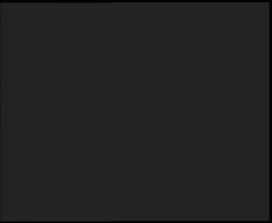 Nástup na běžecké tratě