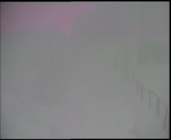 Nástup na běžecké tratě