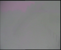 Nástup na běžecké tratě