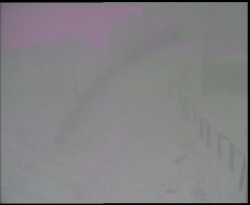 Nástup na běžecké tratě