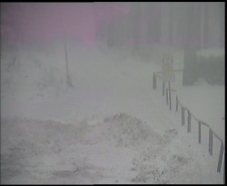 Nástup na běžecké tratě