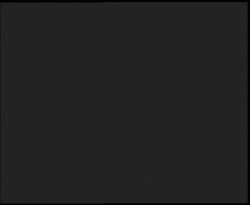 Nástup na běžecké tratě