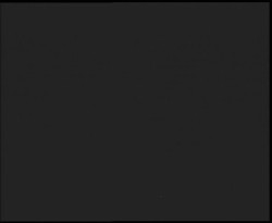 Nástup na běžecké tratě