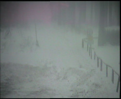 Nástup na běžecké tratě