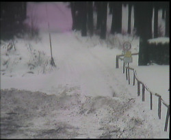 Nástup na běžecké tratě