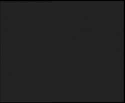 Nástup na běžecké tratě