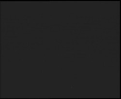 Nástup na běžecké tratě