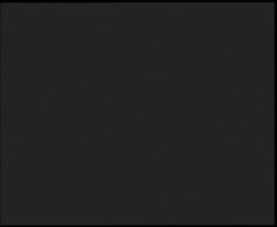 Nástup na běžecké tratě