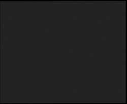 Nástup na běžecké tratě