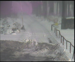 Nástup na běžecké tratě