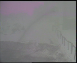 Nástup na běžecké tratě