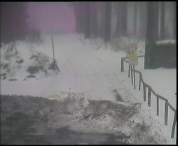 Nástup na běžecké tratě