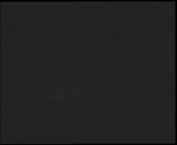 Nástup na běžecké tratě