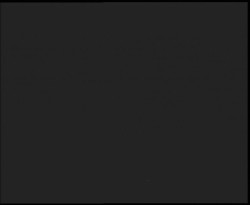 Nástup na běžecké tratě