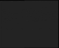 Nástup na běžecké tratě