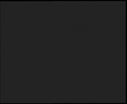 Nástup na běžecké tratě