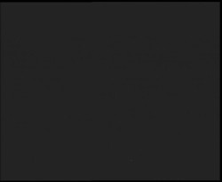 Nástup na běžecké tratě