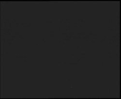 Nástup na běžecké tratě