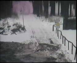 Nástup na běžecké tratě