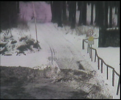 Nástup na běžecké tratě