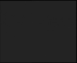 Nástup na běžecké tratě