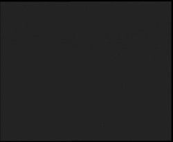 Nástup na běžecké tratě