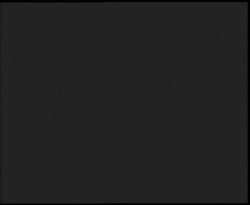 Nástup na běžecké tratě