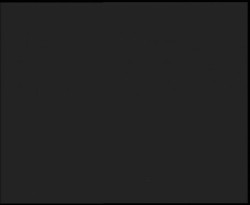 Nástup na běžecké tratě