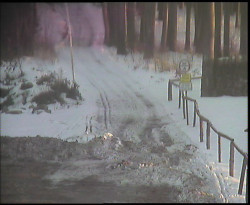 Nástup na běžecké tratě