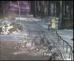 Nástup na běžecké tratě