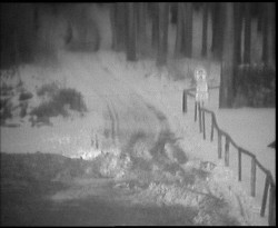 Nástup na běžecké tratě