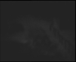 Nástup na běžecké tratě