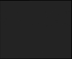 Nástup na běžecké tratě