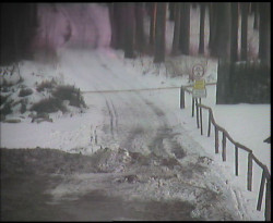 Nástup na běžecké tratě