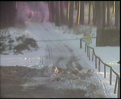 Nástup na běžecké tratě