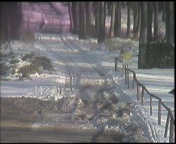 Nástup na běžecké tratě