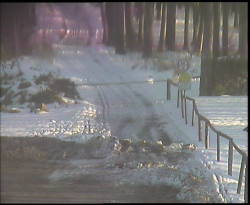 Nástup na běžecké tratě