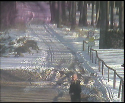 Nástup na běžecké tratě