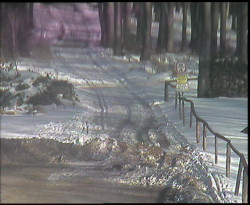 Nástup na běžecké tratě