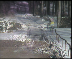 Nástup na běžecké tratě