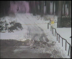 Nástup na běžecké tratě