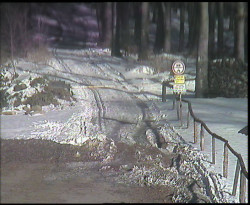 Nástup na běžecké tratě