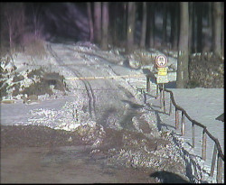 Nástup na běžecké tratě